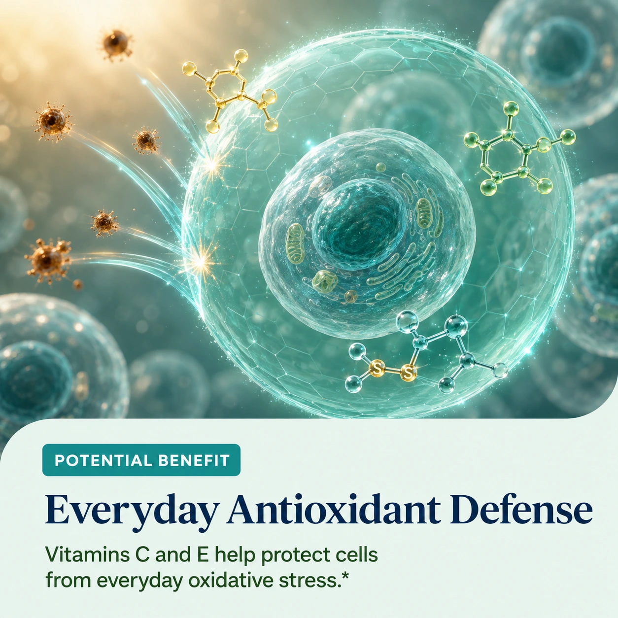 Potential benefit: Everyday Antioxidant Defense